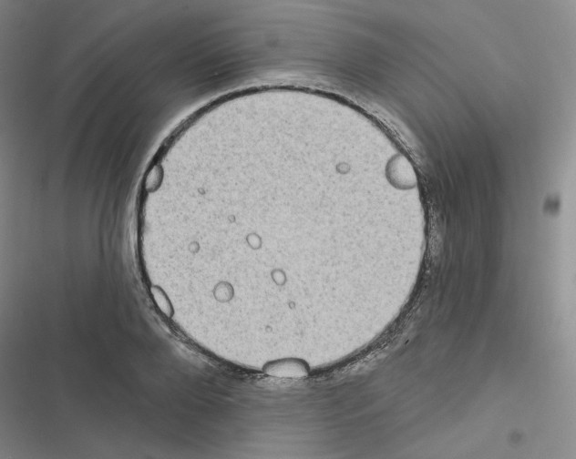 X0000116570888201001211241