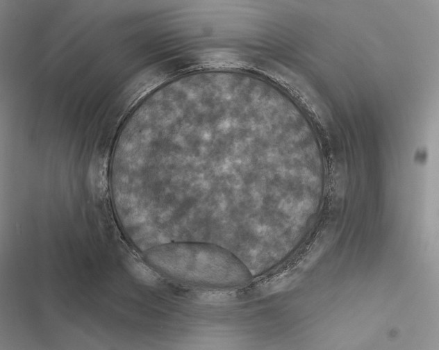 X0000116570889201001211241