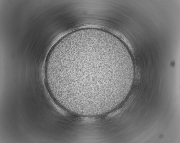 X0000116570890201001211241