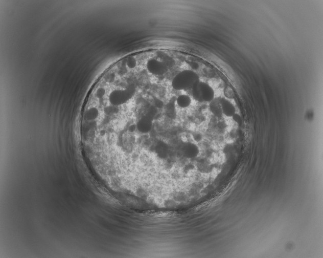 X0000116570891201001211241