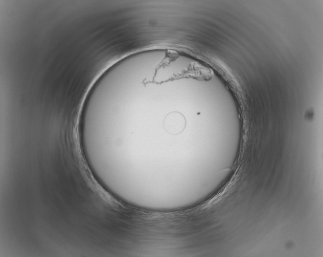 X0000116570892201001211241