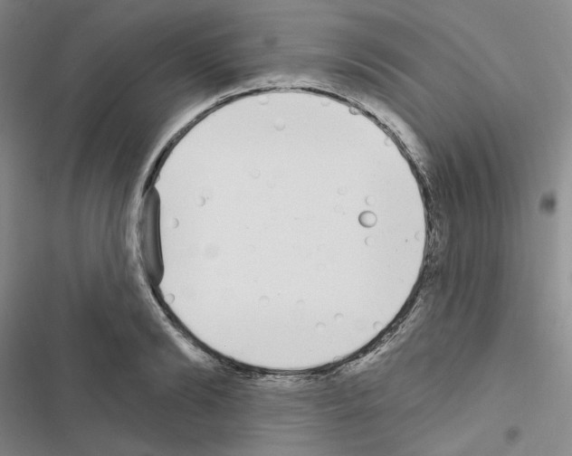 X0000116570894201001211241