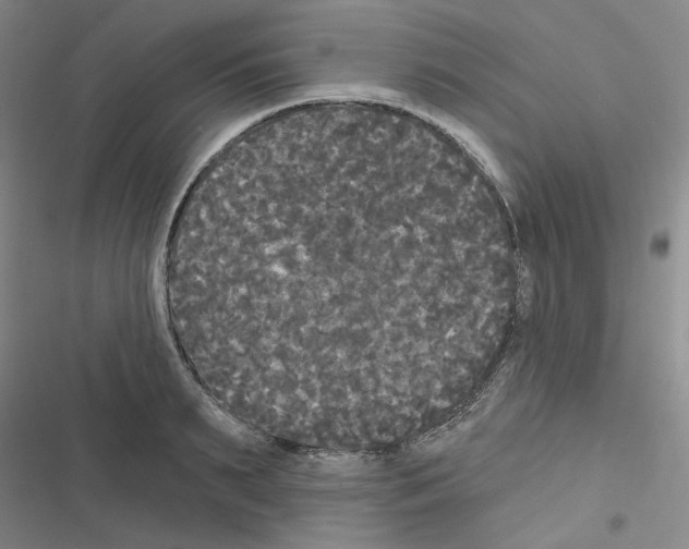 X0000116570895201001211241