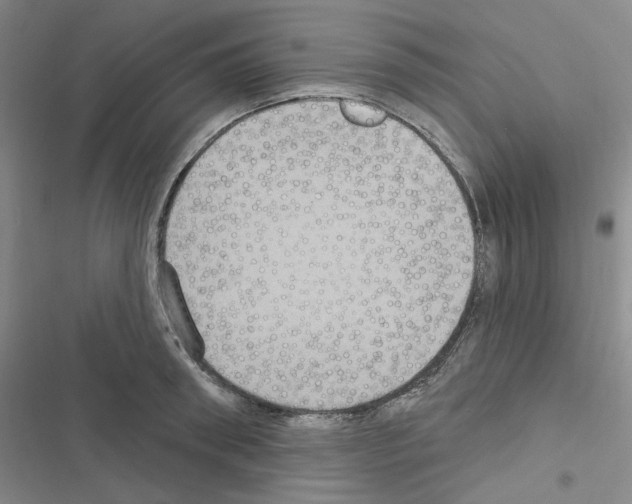 X0000116570898201001211241