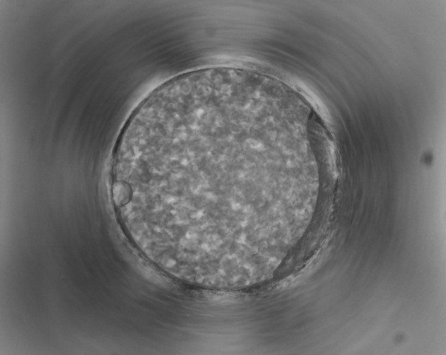 X0000116570899201001211241