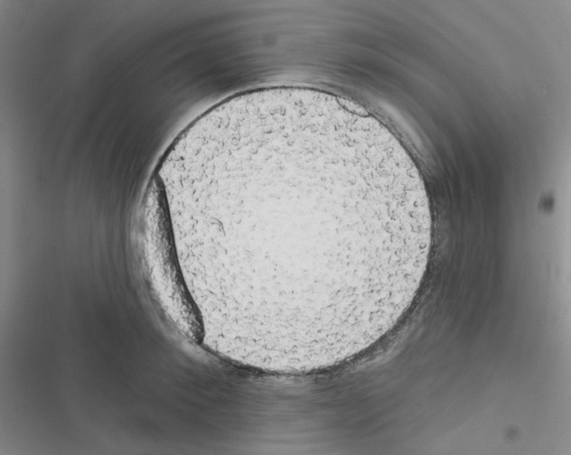 X0000116570900201001211241