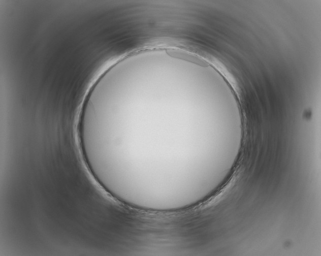 X0000116570901201001211241