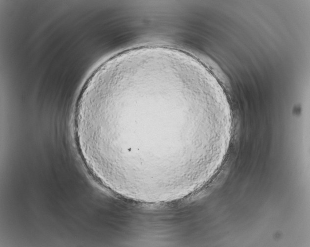 X0000116570904201001211241