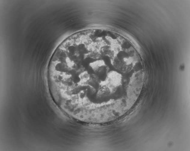 X0000116570907201001211241