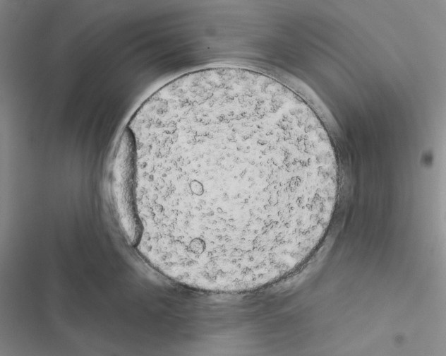 X0000116570908201001211241