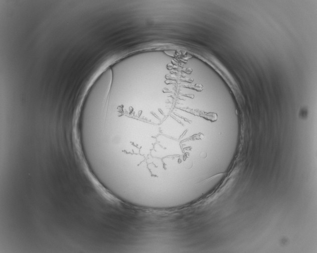 X0000116570909201001211241