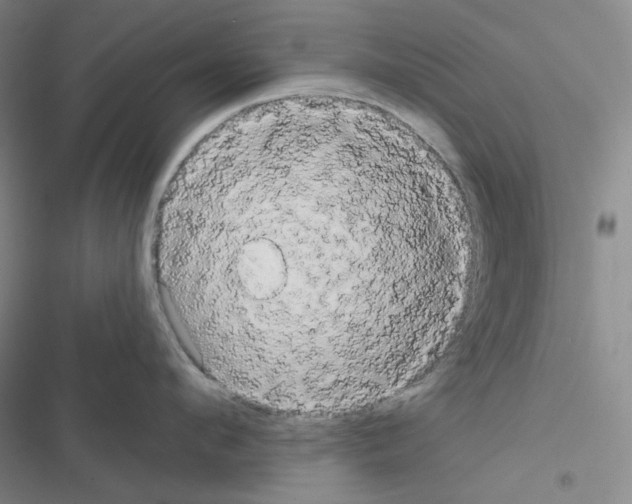 X0000116570912201001211241