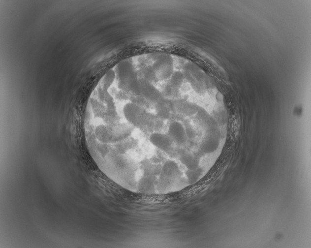 X0000116570917201001211240