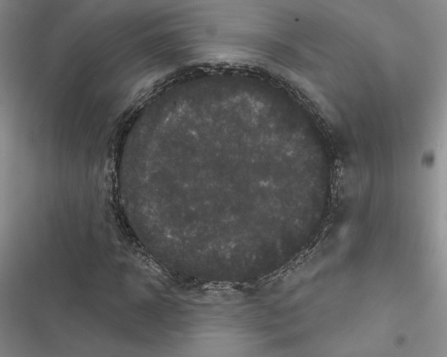 X0000116570918201001211240