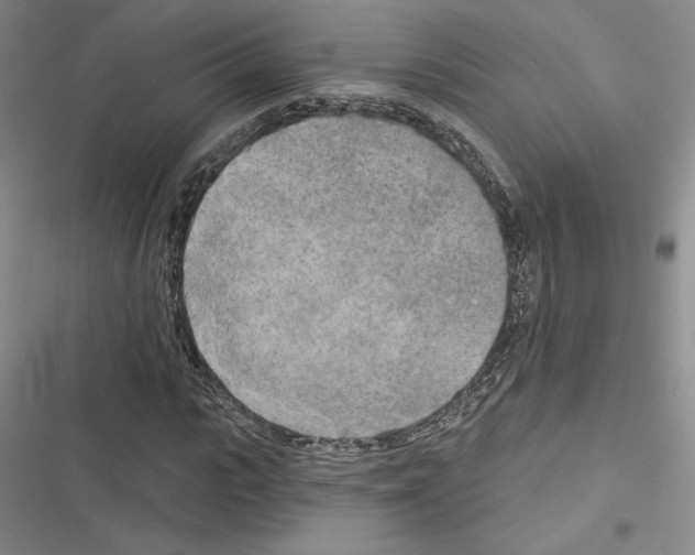 X0000116570919201001211240