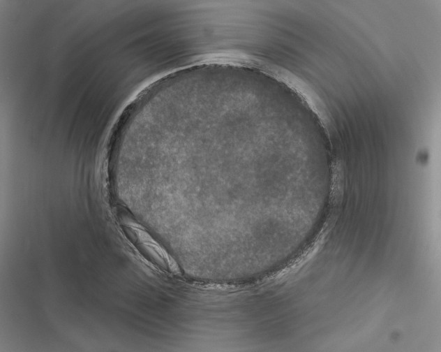 X0000116570923201001211240