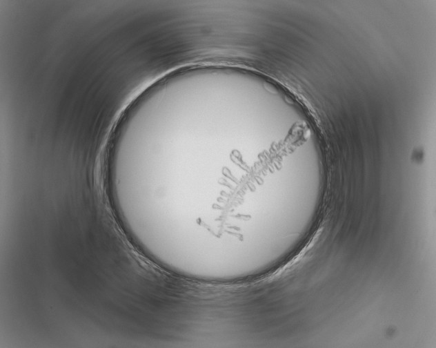 X0000116570925201001211240