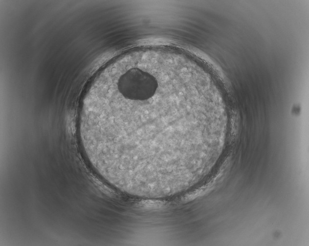 X0000116570929201001211240