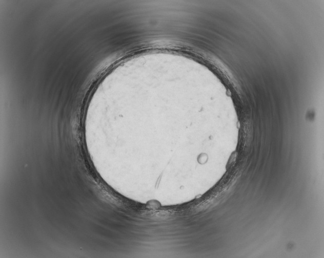 X0000116570930201001211240