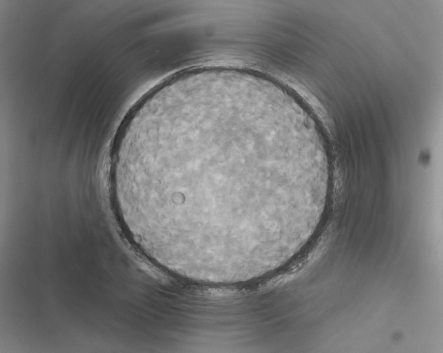 X0000116570933201001211240