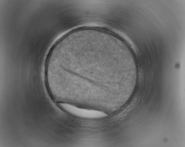 X0000116570935201001211240