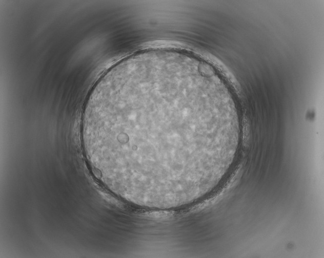 X0000116570937201001211241