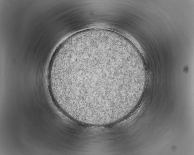 X0000116570939201001211241