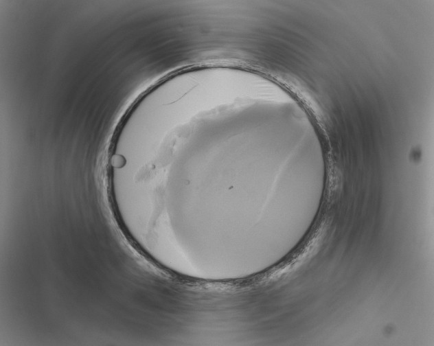 X0000116570941201001211241