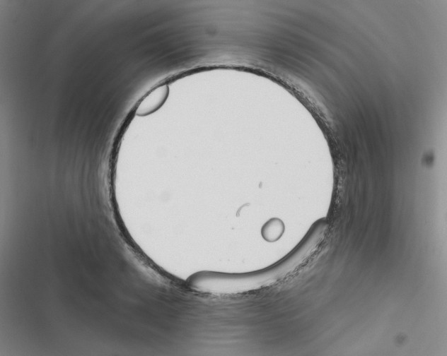 X0000116570942201001211241