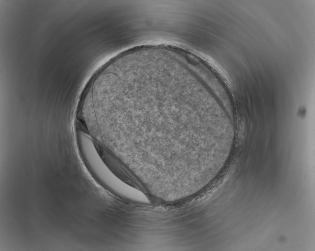 X0000116570943201001211241