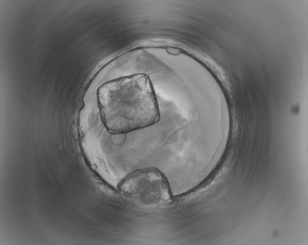 X0000116570945201001211241