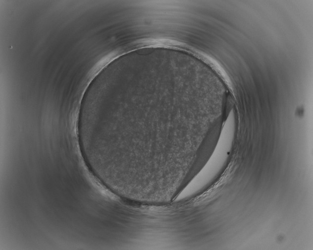 X0000116570946201001211241