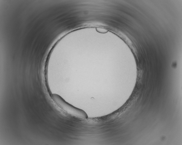 X0000116570947201001211241