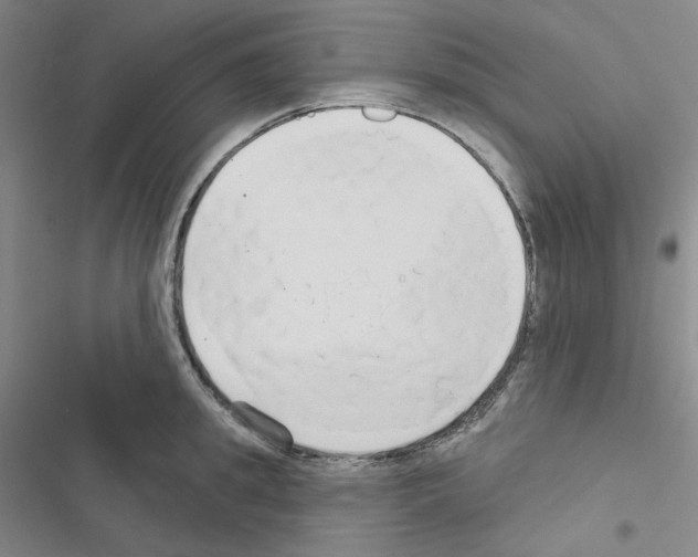 X0000116570949201001211241