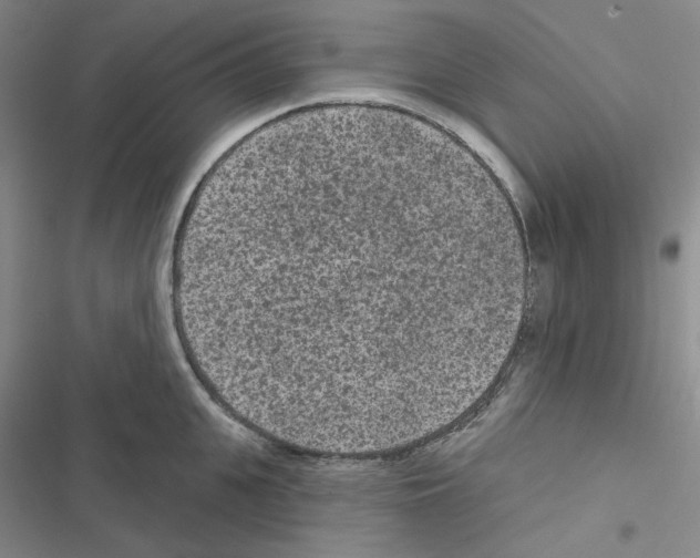 X0000116570951201001211241