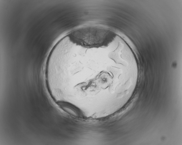 X0000116570957201001211241