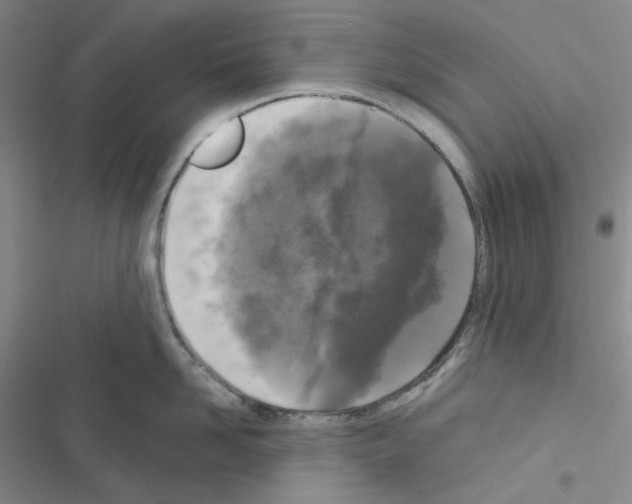 X0000116570958201001211241