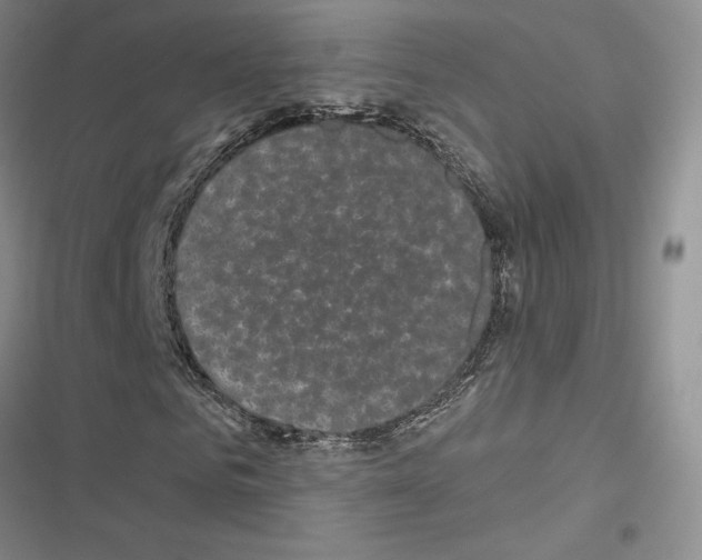 X0000116570961201001211240