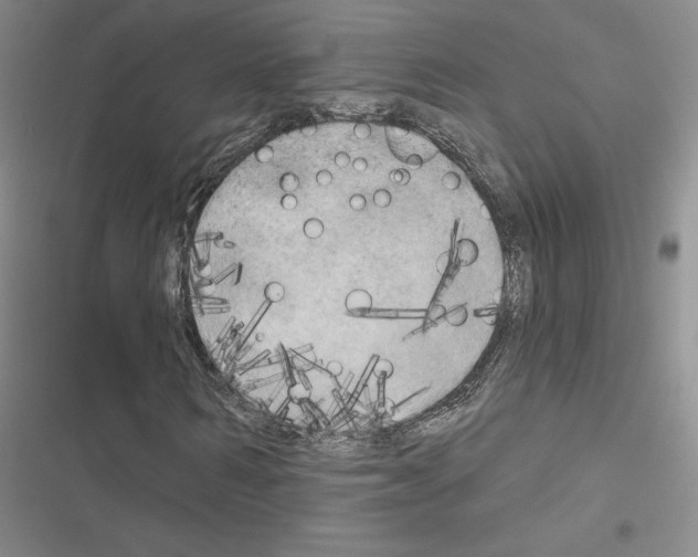 X0000116570962201001211240