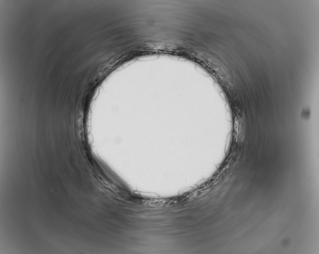 X0000116570963201001211240