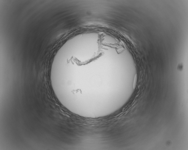 X0000116570965201001211240