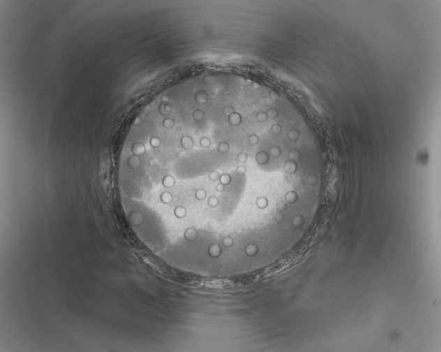 X0000116570966201001211240