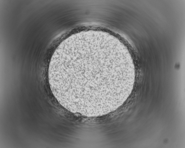 X0000116570967201001211240