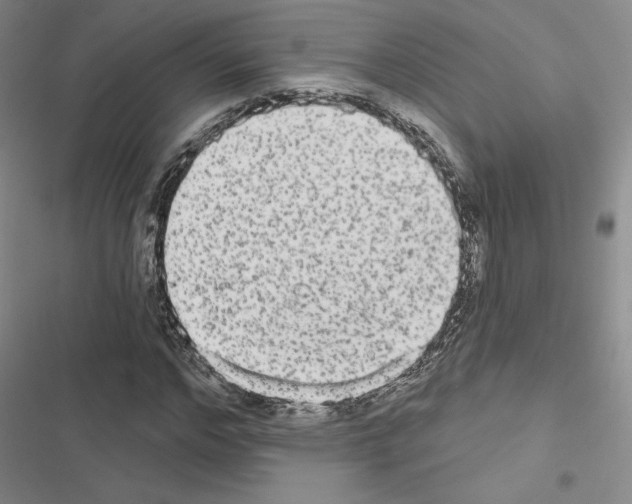 X0000116570968201001211240