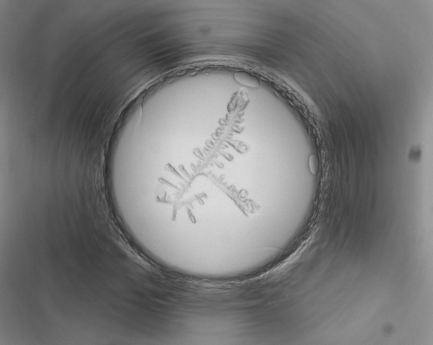 X0000116570969201001211240