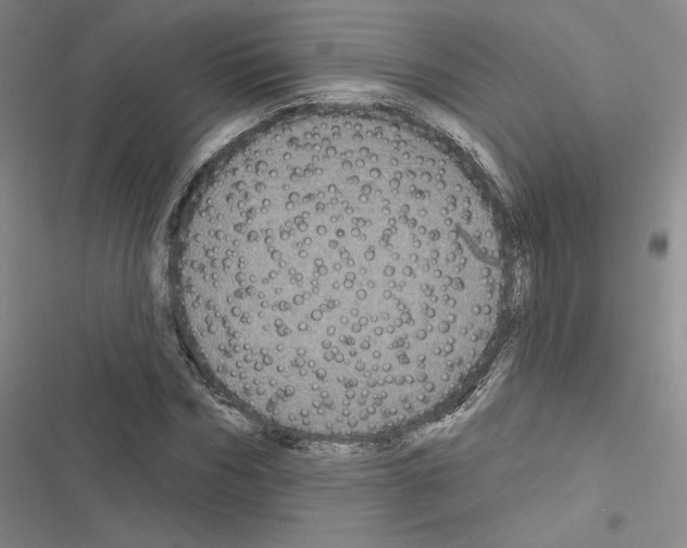 X0000116570970201001211240