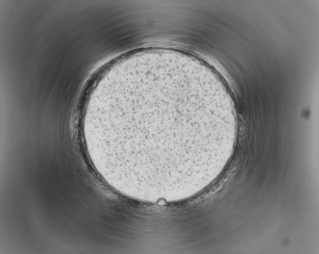 X0000116570971201001211240