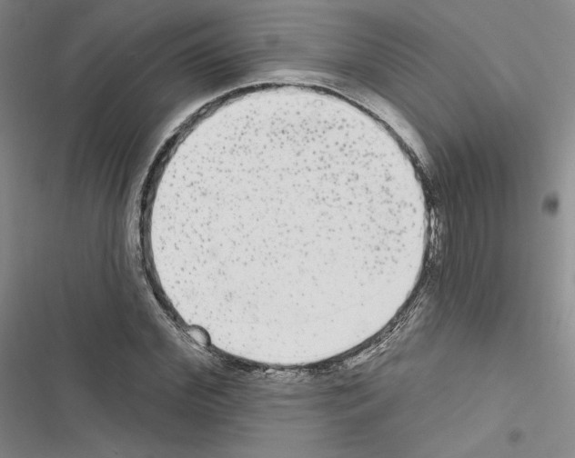 X0000116570972201001211240