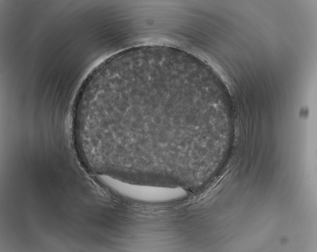 X0000116570975201001211240