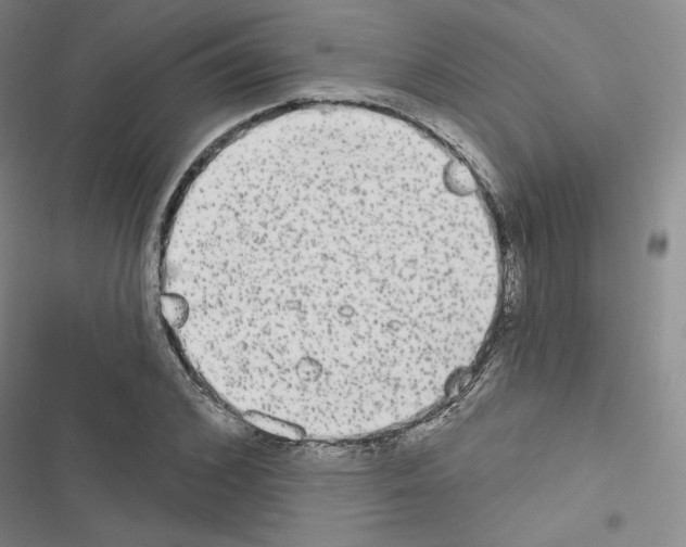 X0000116570976201001211240